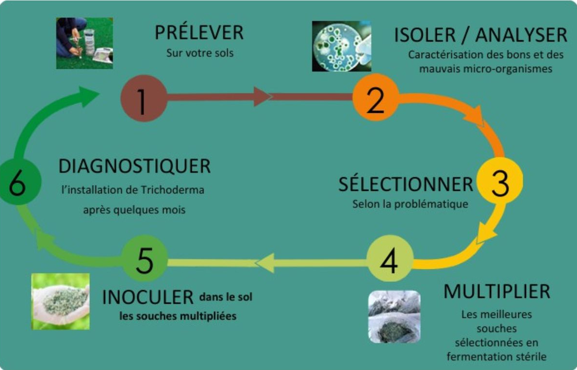 Design sans titre (1)