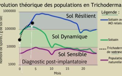Le diagnostic que 90% des greenkeepers ignorent encore !