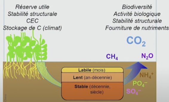 carbone labile carburant sol