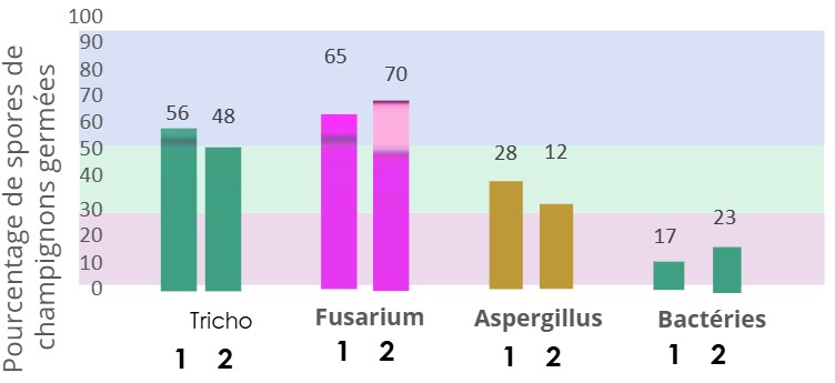 pourcentage spores de champignons germés